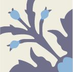 Model: Dara Model Dara