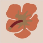 Model: Tulipán Tulipán